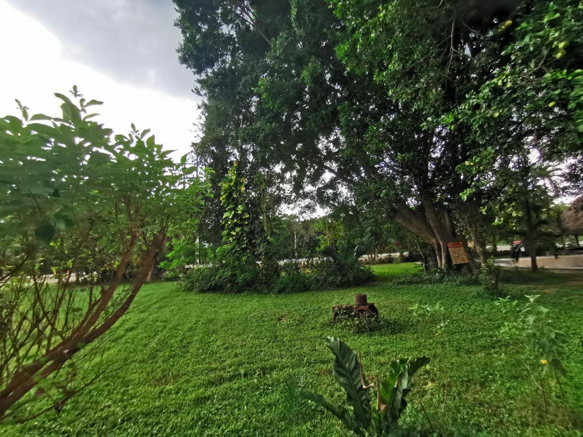 Hotel Doralba Inn Chichen المظهر الخارجي الصورة